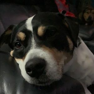 Meet your Posher, Jim